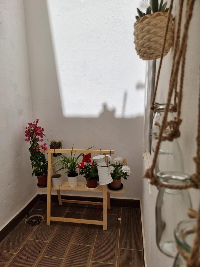 Dream Days Guesthouse Фару Екстер'єр фото